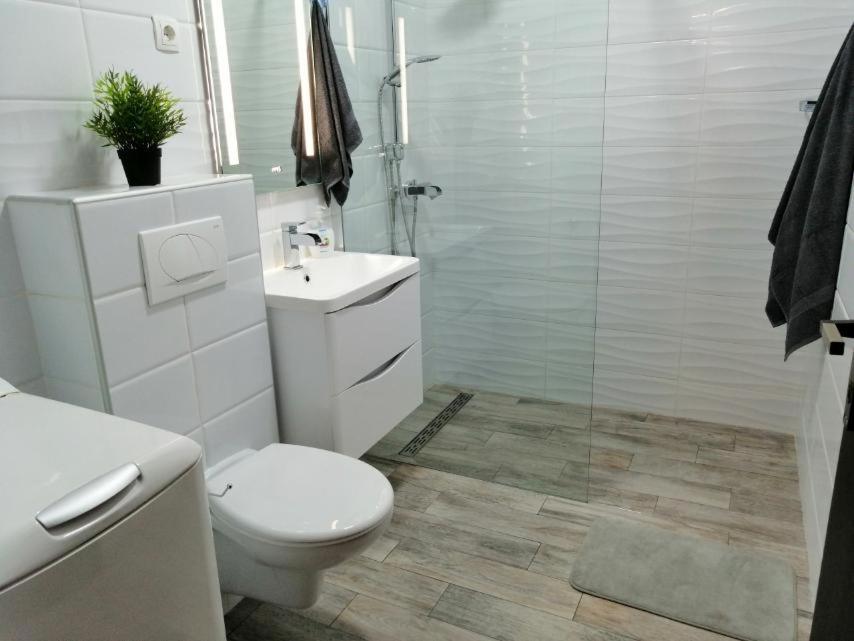 Apartma Sanja *